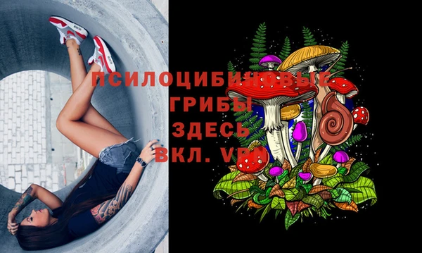 герыч Абаза
