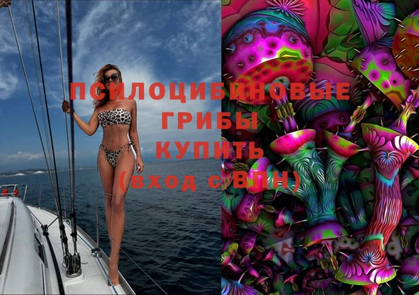 эйфоретик Абинск